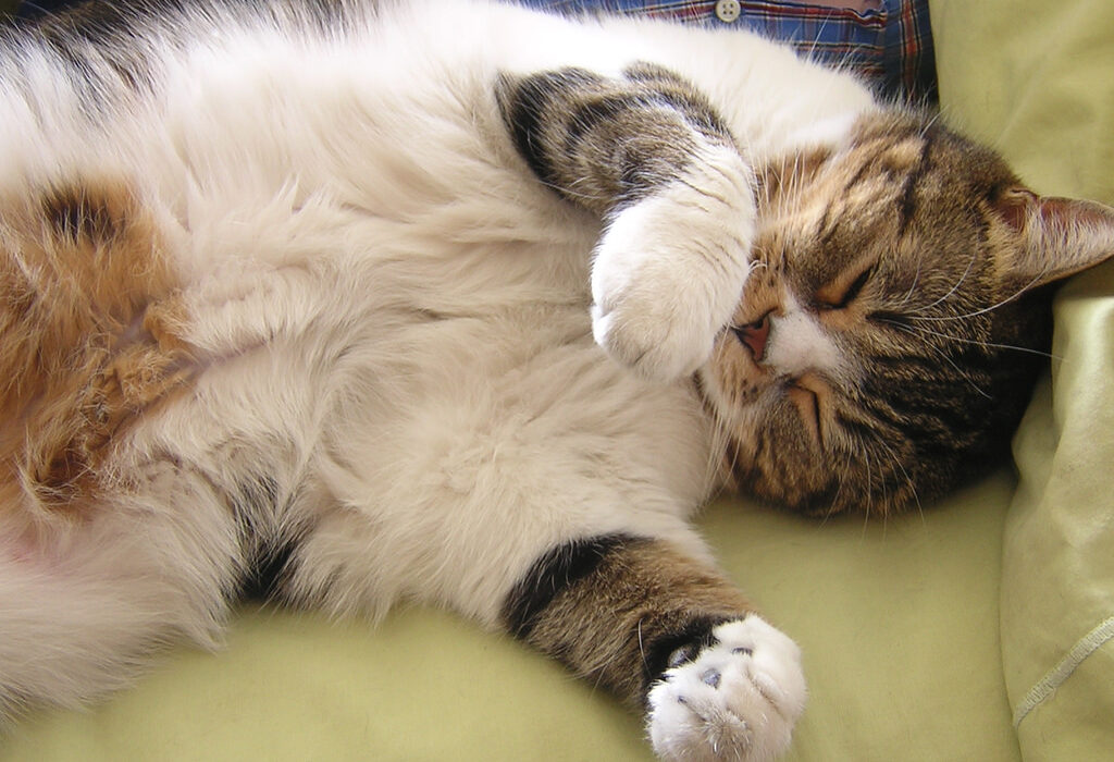 Why your gut instinct is wrong when you’re recruiting – and how to know when it isn’t