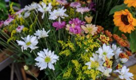 Supporting NFP employees through grief
